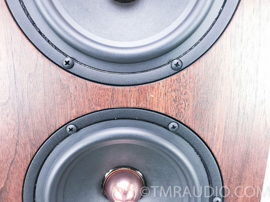 Tyler Acoustics Decade D1 Floorstanding Speakers w/ Stands