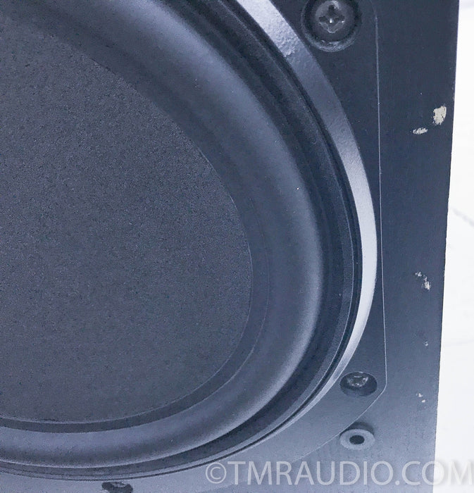 B&W DM 3000 Floorstanding Speakers