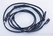 AudioQuest Rocket 88 Bi-Wire Speaker Cables