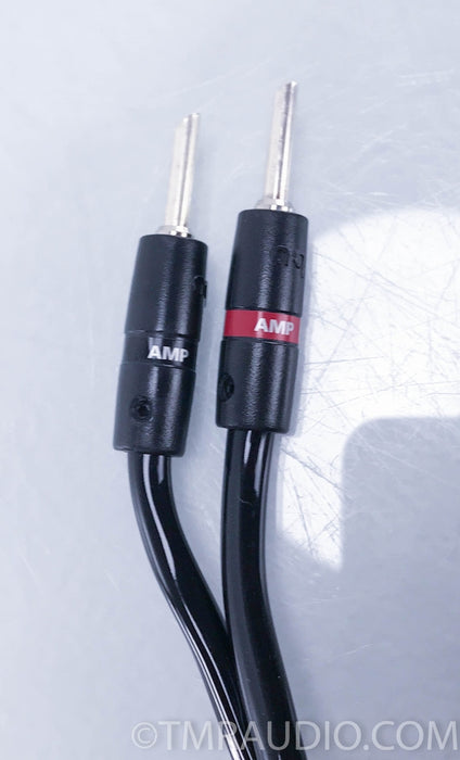AudioQuest Rocket 88 Bi-Wire Speaker Cables