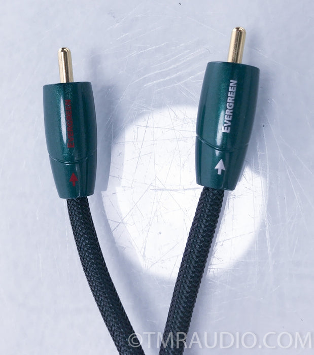 Audioquest Evergreen RCA Cables
