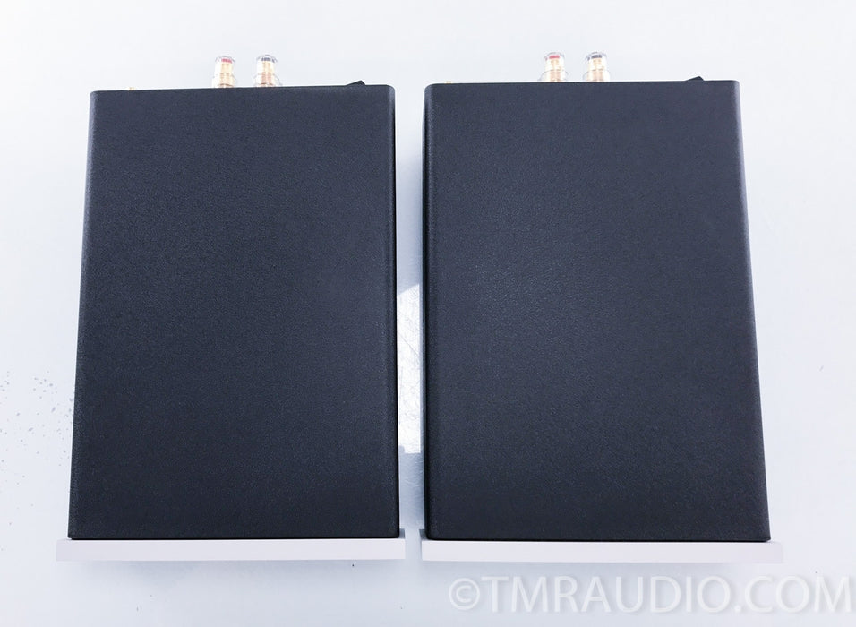 Bel Canto e.One REF1000 mkII Mono Power Amplifiers