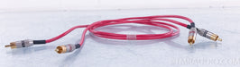 Wireworld Solstice RCA Cables