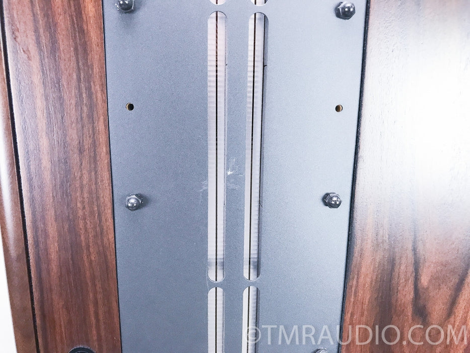 Genesis 300 Floorstanding Speakers w/ Matching Genesis 300 Subwoofer Amplifier