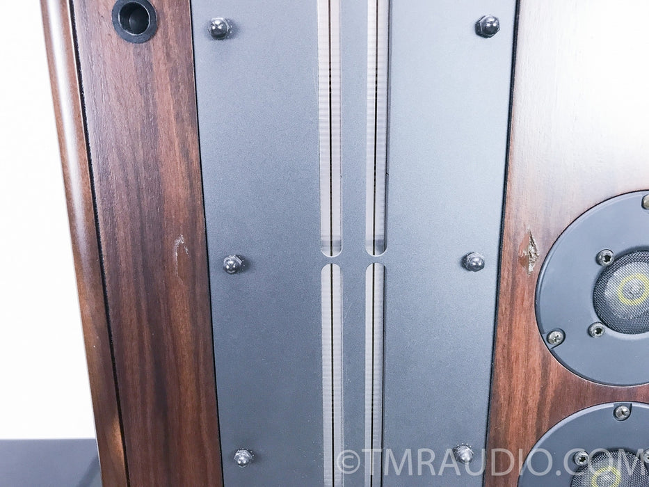Genesis 300 Floorstanding Speakers w/ Matching Genesis 300 Subwoofer Amplifier