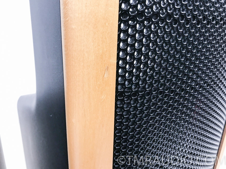 Martin Logan Aeon Floorstanding Speakers