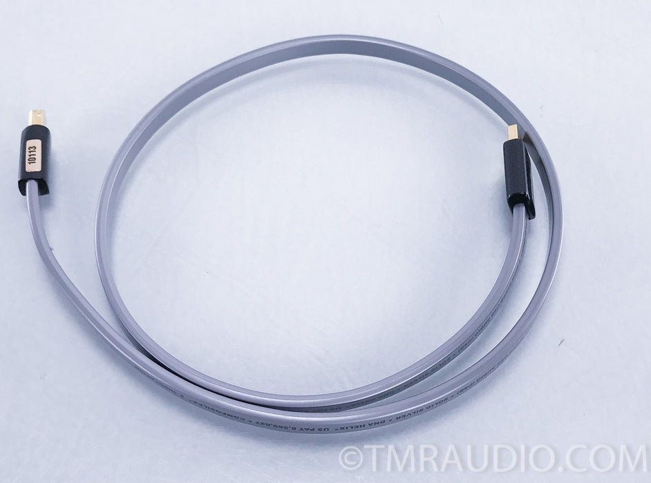 Wireworld Platinum Starlight 7 USB Cable