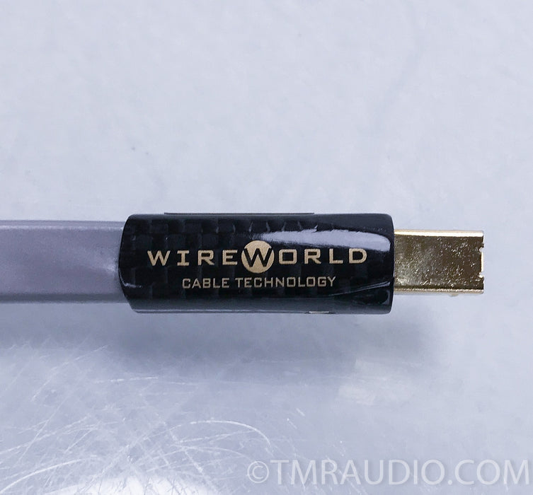 Wireworld Platinum Starlight 7 USB Cable