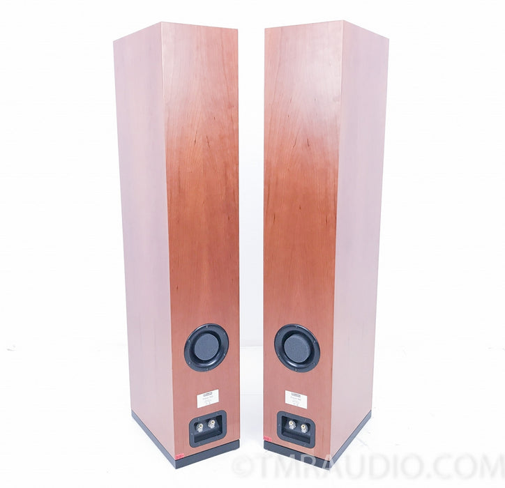 Dynaudio Focus 360 Floorstanding Speakers
