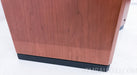 Dynaudio Focus 360 Floorstanding Speakers