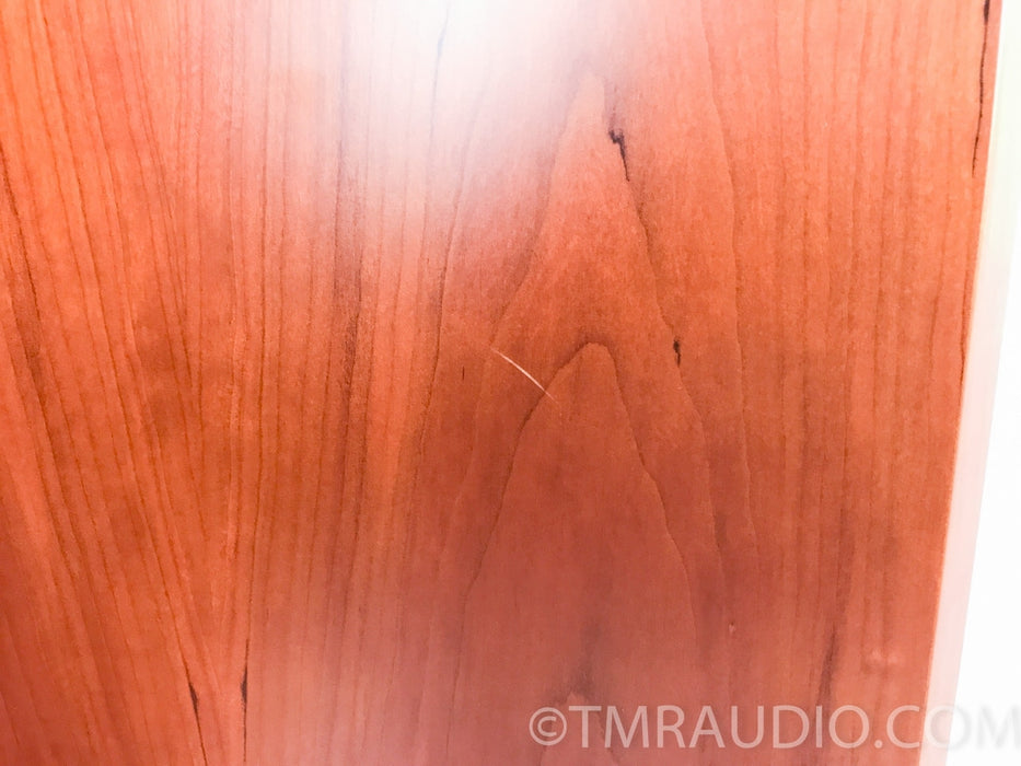 Dynaudio Focus 360 Floorstanding Speakers