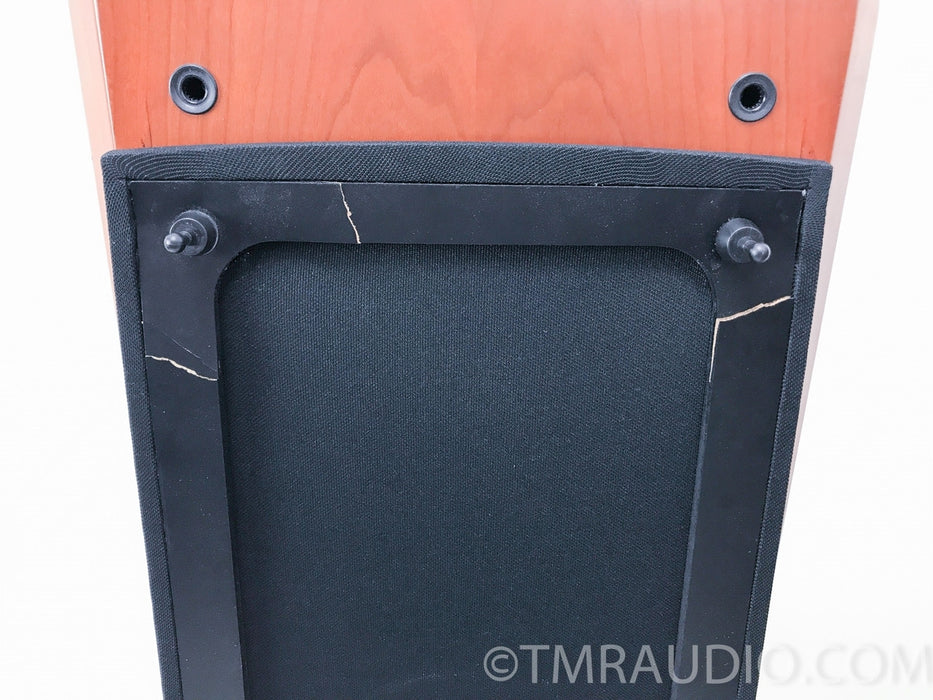 Dynaudio Focus 360 Floorstanding Speakers