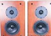 Dynaudio Focus 360 Floorstanding Speakers