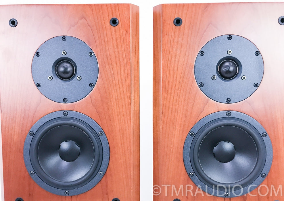 Dynaudio Focus 360 Floorstanding Speakers
