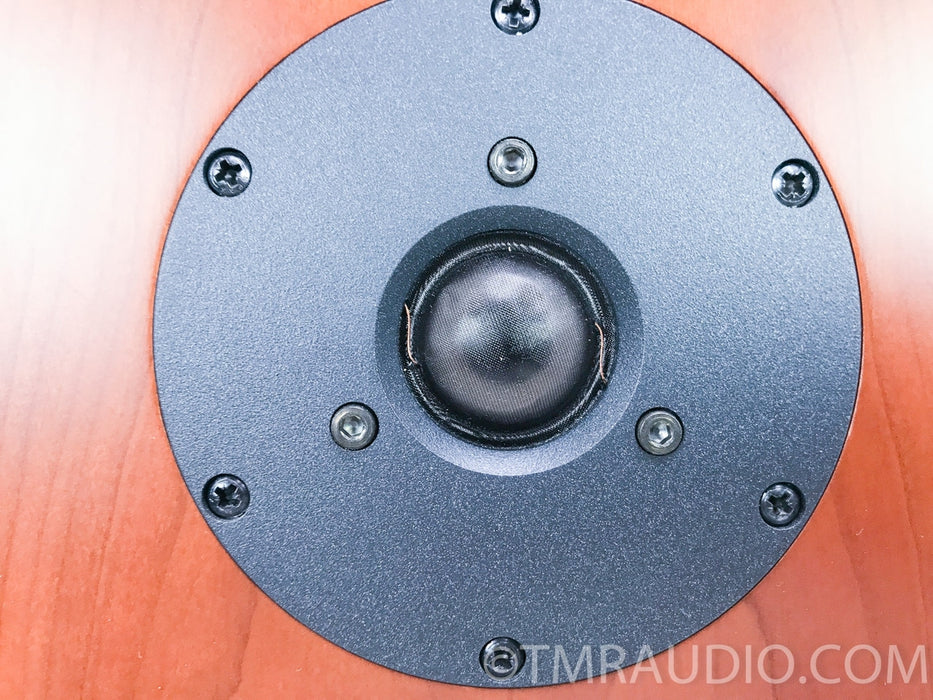 Dynaudio Focus 360 Floorstanding Speakers