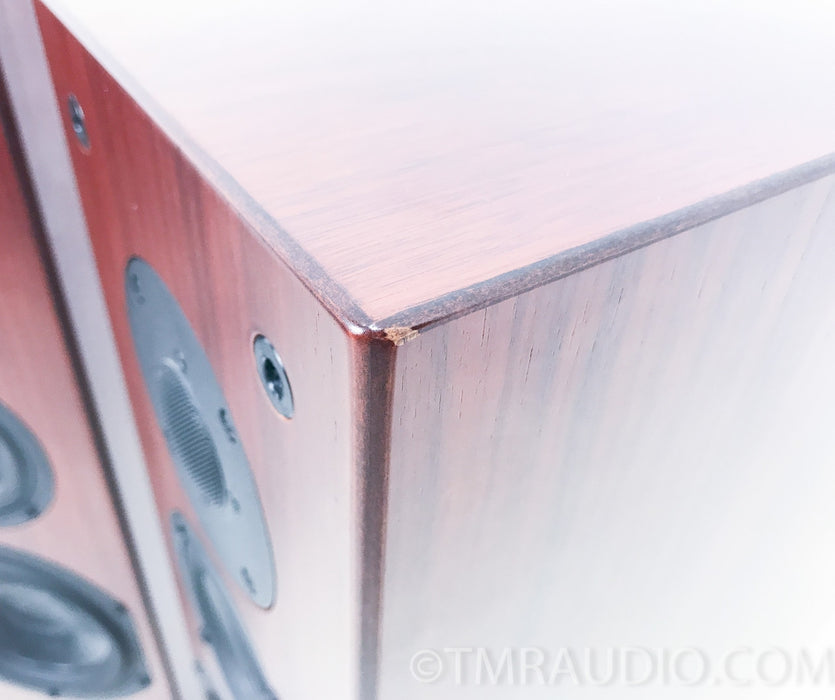 Aerial Acoustics Model 6 Floorstanding Speakers