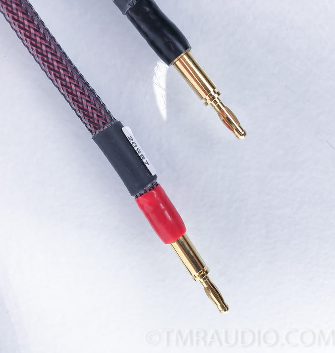 MIT AVt MA Maximum Articulation Speaker Cables