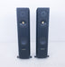 Sonus Faber Grand Piano Floorstanding Speakers