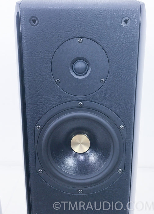 Sonus Faber Grand Piano Floorstanding Speakers