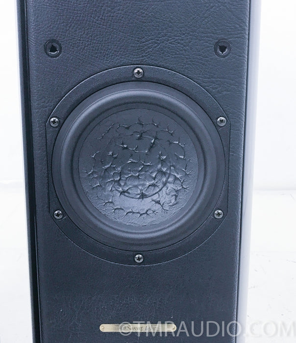 Sonus Faber Grand Piano Floorstanding Speakers