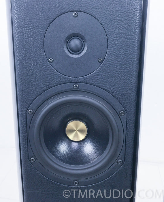 Sonus Faber Grand Piano Floorstanding Speakers