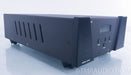 Wyred 4 Sound DAC-2 DSD se DAC