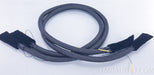 TARA Labs The Zero Evolution XLR Cables