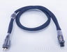 Tara Labs The Cobalt Power Cable
