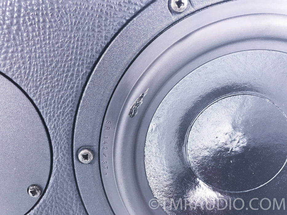 Sonus Faber Solo Center Channel Speaker (Minor surround damage)