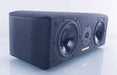 Sonus Faber Solo Center Channel Speaker (Minor surround damage)
