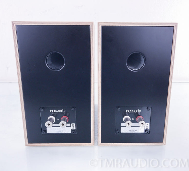 Penaudio Rebel Two