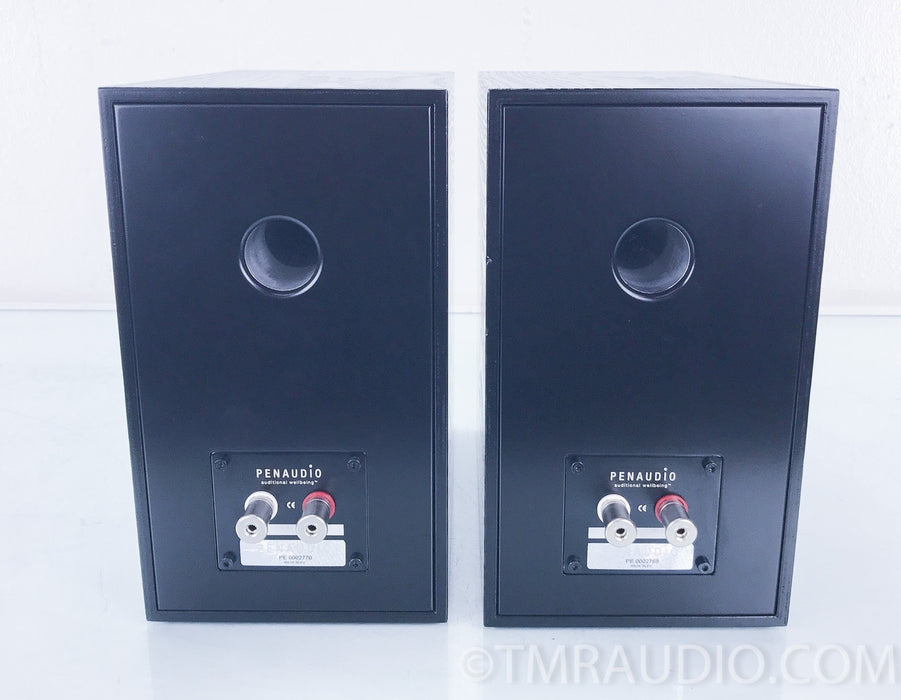 Penaudio Rebel Two
