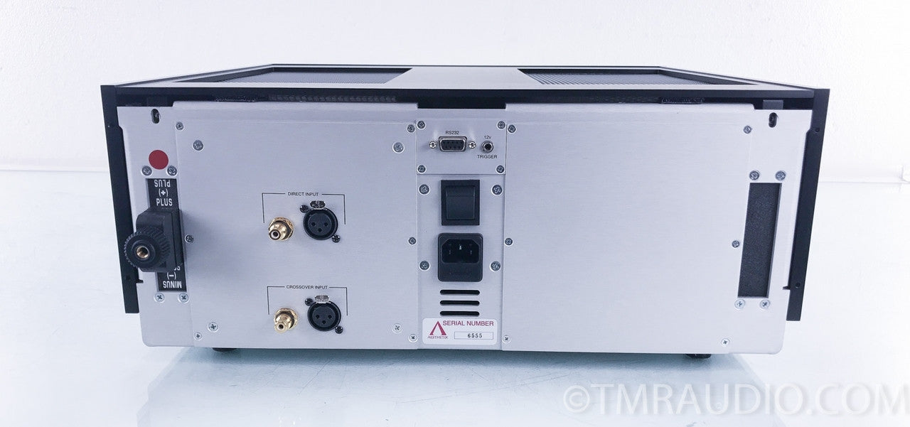 Aesthetix Atlas Signature Tube Mono Power Amplifiers