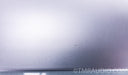 Auralic Aries Streamer