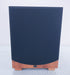 Aperion Audio Intimus S-10 Powered Subwoofer