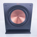 Klipsch R-112SW Powered Subwoofer