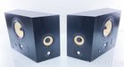 B&W DS8S Surround Speakers