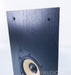 B&W DS8S Surround Speakers