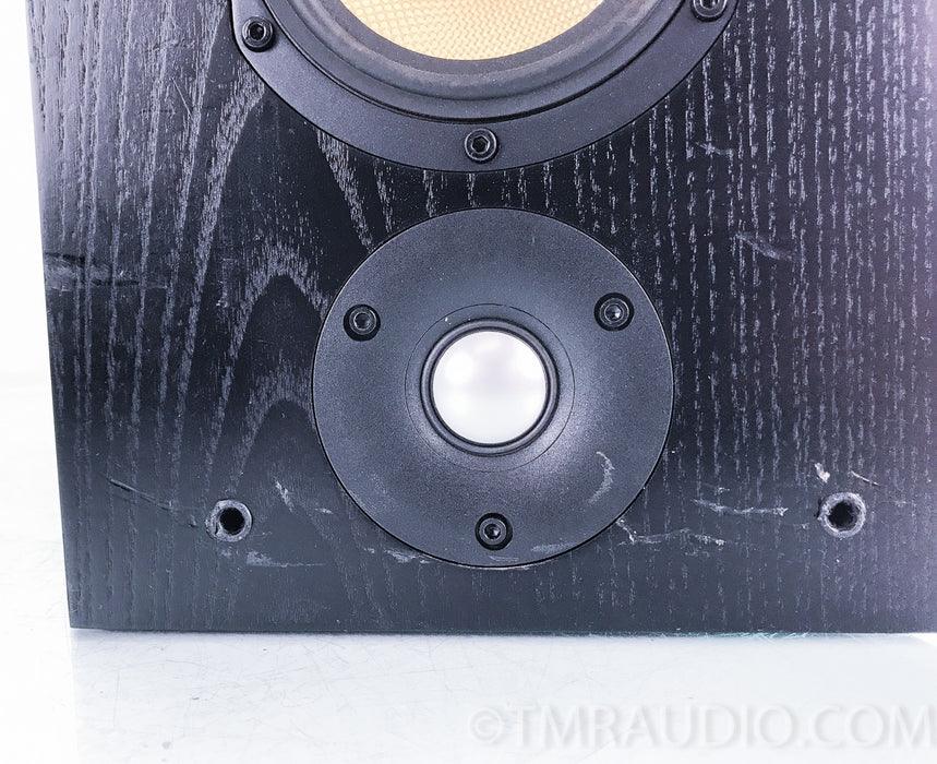 B&W DS8S Surround Speakers