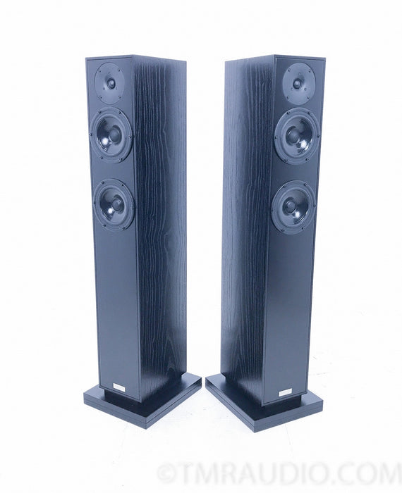 Penaudio Rebel Three Floorstanding Speakers