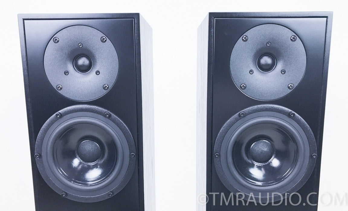 Penaudio Rebel Three Floorstanding Speakers