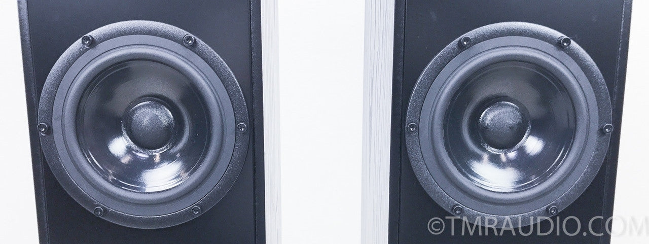 Penaudio Rebel Three Floorstanding Speakers
