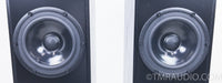 Penaudio Rebel Three Floorstanding Speakers