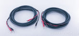 Cardas Parsec Speaker Cables
