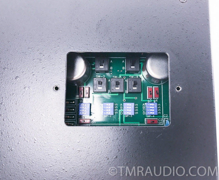 Rogue Ares Tube Phono Preamplifier