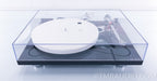 Rega RP10 Turntable