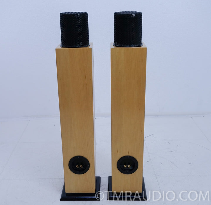 Ohm MicroWalsh Tall Floorstanding Speakers