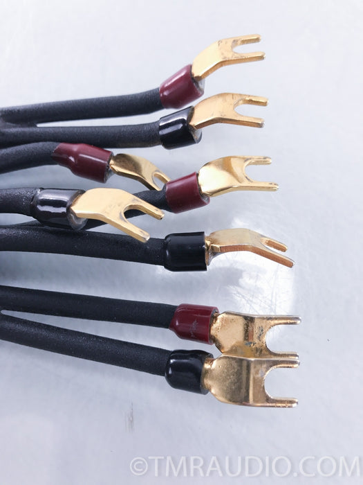 MIT Terminator 2 Speaker Cables