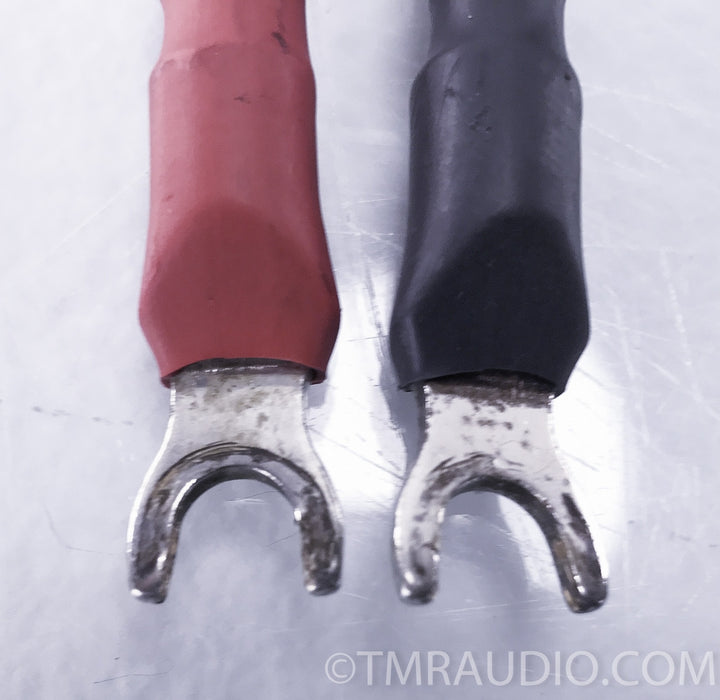 Cardas Golden Reference Speaker Cable