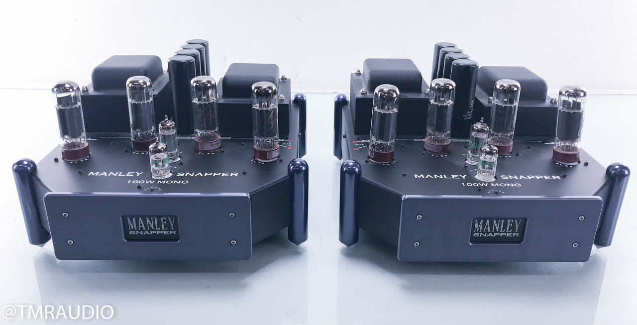 Manley Snapper Mono Tube Power Amplifier